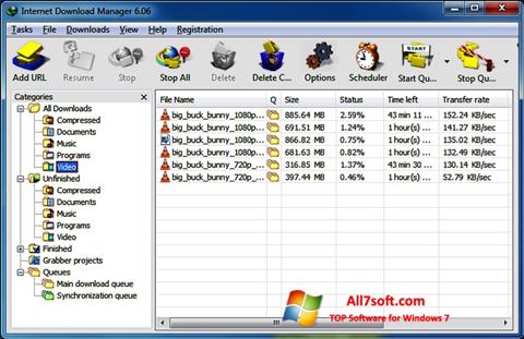 Screenshot Internet Download Manager Windows 7